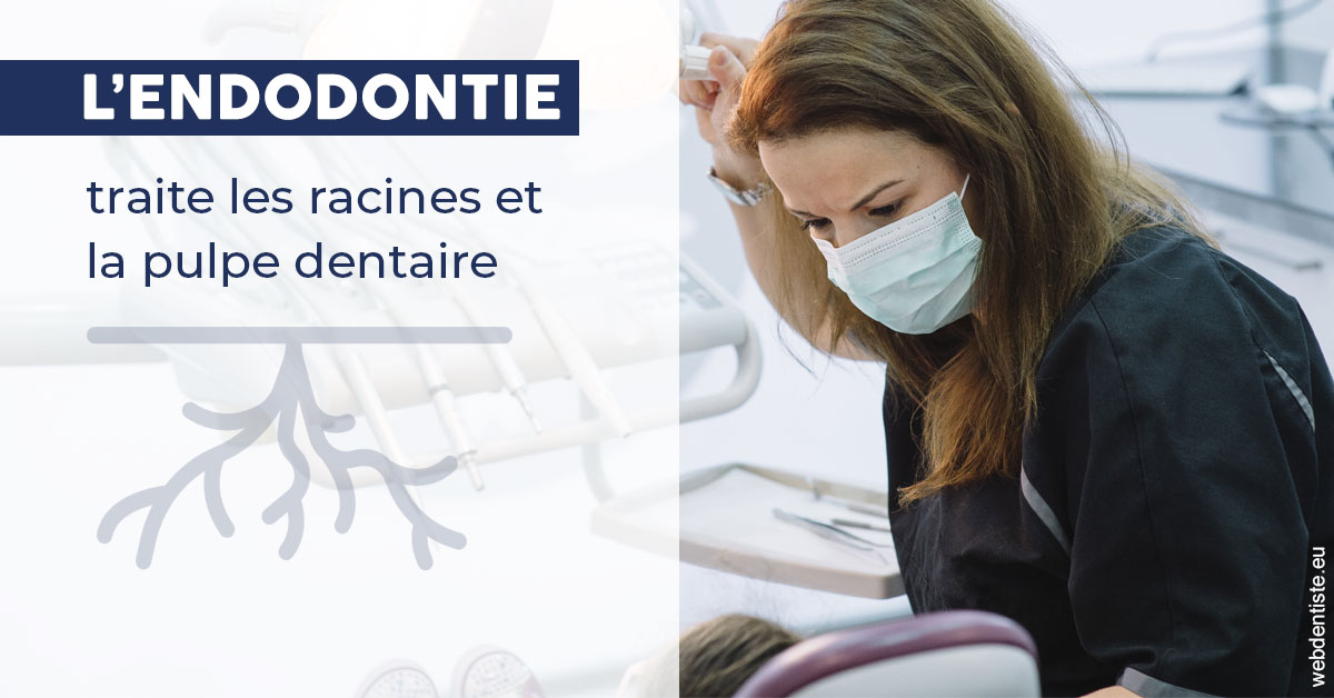 https://dr-bauer-patrick.chirurgiens-dentistes.fr/L'endodontie 1