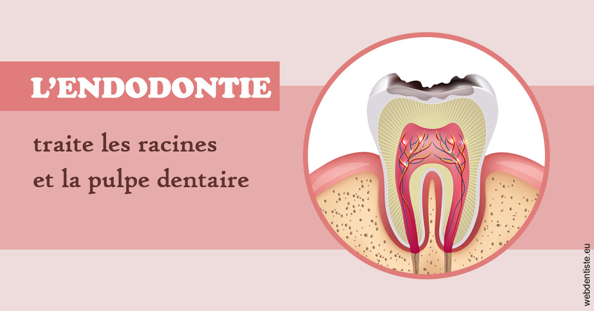 https://dr-bauer-patrick.chirurgiens-dentistes.fr/L'endodontie 2