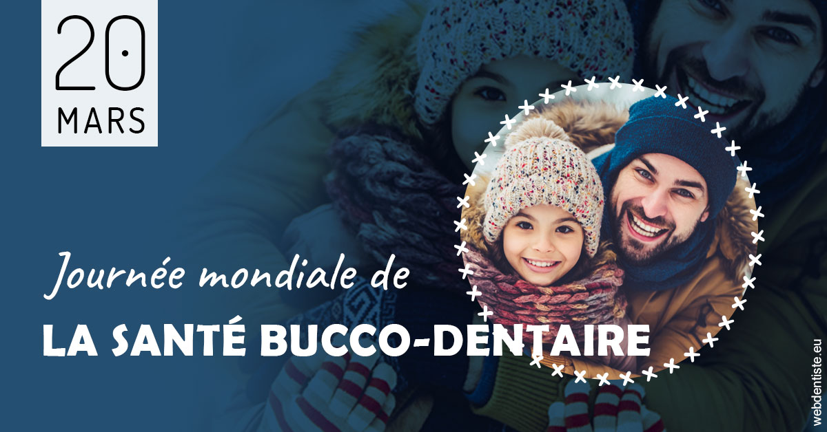 https://dr-bauer-patrick.chirurgiens-dentistes.fr/La journée de la santé bucco-dentaire 1