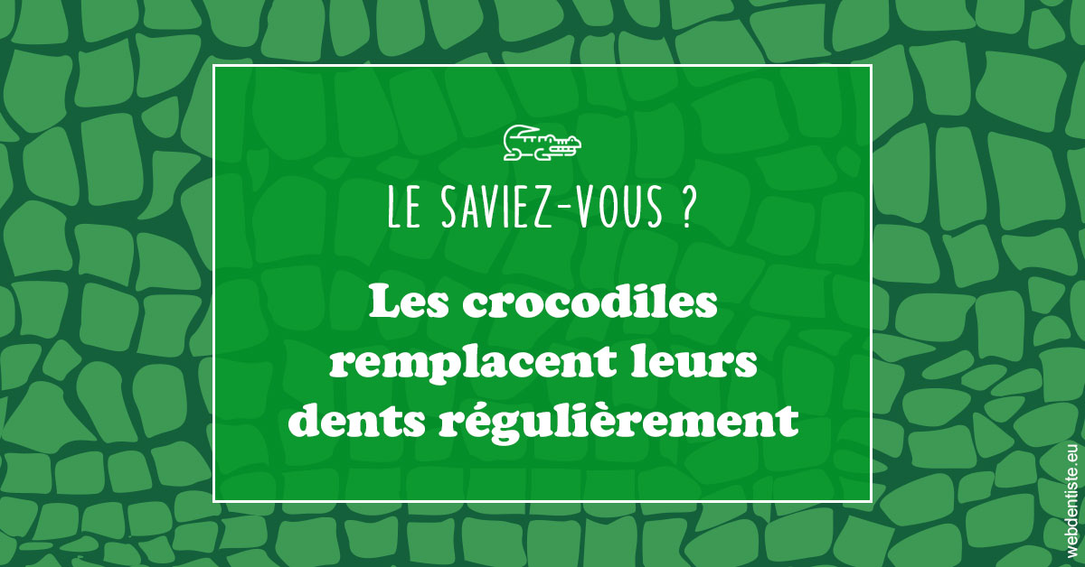 https://dr-bauer-patrick.chirurgiens-dentistes.fr/Crocodiles 1